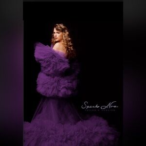 Taylor Swift Speak Now TV Lithograph Fans 1st Poster Exclusive NO LONGER SOLD